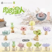 肉肉星人 扭蛋/轉蛋 鹿角海棠 碧光環 桃之卵 短毛丸 熊童子 石蓮花