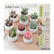 (店+)沐晨植物園｜仿真植物 仿真多肉 盆栽裝飾 小盆栽假植物 假盆栽 辦公室盆栽 迷你盆栽 仿真盆栽 仿真植物盆栽 居家裝飾
