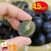 【愛合購】【果之家】苗栗卓蘭特級巨峰葡萄4.5台斤裝
