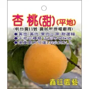 頂耀園藝 水蜜桃苗 台農11號 杏桃  （授權之品種；絕非山寨版）