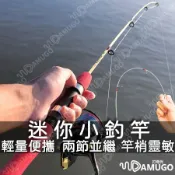 超短兩節好攜帶【這不是玩具釣竿】冰釣竿 釣竿 迷你釣竿 前打竿 龍蝦竿 黑吉竿 偷跑竿 筏竿 並繼竿
