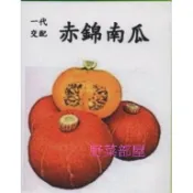 【萌田種子~】K41 日本赤錦南瓜種子2粒 栗子南瓜 重約1.5公斤~