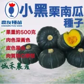 城禾農產🍃 農友小黑栗子南瓜種子 10粒 小黑栗南瓜種子 小黑栗子南瓜種子 小黑種子 小黑栗子南瓜種子 農友栗子南瓜種子