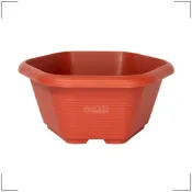6寸 日式六角素燒盆 | 多肉 小品 盆器 小品 小盆