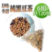 【蔘大王】真厚味剖半開仁純黑豆茶包X6組（6gX20入/組）草本潔淨 輕盈順暢 幫助消化 促進代謝