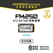 【AITC】艾格 FM250 SSD 512GB M.2 2242 SATAIII 固態硬碟