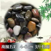 協貿國際日用品生活6館 南京花盆園藝畫鵝卵石天然五彩色石頭石子大小庭院魚缸烏龜