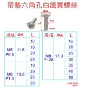 APO~F10-1~白鐵質帶墊內六角孔螺絲/扁頭螺絲/丸頭六角孔帶墊片/車殼螺絲/圓頭內六角/M5/M6/M8