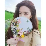 現貨  特價 小欣種業古風團扇diy材料包 中國風干花圓扇子手工藝永生花暖場母親節禮物
