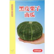 (店+)【天橙種子】黑皮栗子南瓜種子 約6粒 10~2月播種 日本進口 瓜果類種子 興農種苗 家庭園藝 彩色原包裝