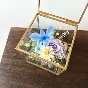 Lucent No.07 Ready to Flutter 蝴蝶蘭永生花玻璃盒 教師節 生日