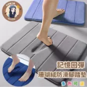 現貨寄出 加厚可機洗 珊瑚絨地墊 吸水地墊 記憶地墊 防滑墊腳踏墊 浴室腳踏墊 腳踏墊 臥室地墊 記憶棉吸水地墊 地墊