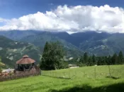 【Lion Travel 雄獅旅遊】南投｜秋賞｜清境農場賞楓.中台禪寺.台一採果賞落羽松.清境國民賓館一泊二食二日｜高雄台南 出發地點：台南、高雄