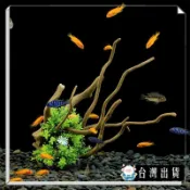 魚缸裝飾造景仿真沉木仿真水草鋪底水族箱擺件杜鵑根套餐假水草 可開發票✅咩咩星球🔥台灣出貨🔥