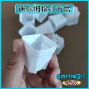 🚀臺灣出貨🚀 「泡泡」✩可開發票✩迷你版拇指小白方盆方形花盆生石花多肉葉插育苗盆小號托架組合