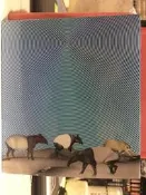 自有收藏 日本版 NICO TOUCHES THE WALLS オーロラ 歐若拉 初回限定盤 專輯CD+DVD