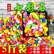 🔥臺灣出貨🔥彩色石子 七彩石 小石頭 五彩石 雨花石 水培多肉盆栽鋪面石 魚缸底砂