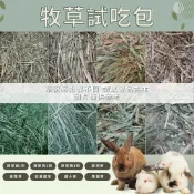【現貨】《100g試吃包》精選牧草 提摩西一番割 提摩西二番割 甜燕麥 苜蓿草 小寵牧草 鼠兔牧草 兔用牧草 小動物牧草