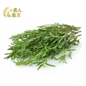 現貨隔日寄 迷迭香種子 台灣本土香草 可食用調味 盆栽地栽 驅蚊植物 園藝栽培 葉子翠綠 易種宿根 西餐香料 牛排配料