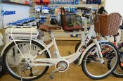 GIANT EA401 捷安特 動腳踏車兒童座椅 安全座椅 電動自行車 瑞峰快拆親子坐架 裝好的樣子