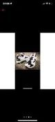 Reebok INSTA PUMP FURY OG ACHM 殺人鯨 黑白 熊貓 AR0445#YEEZY JORDAN