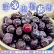 【天天果園】冷凍美國/智利栽種藍莓1包(每包約200g)(滿額)
