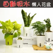 【珍愛頌】N130 懶人花盆 可視水位 自動澆水吸水 自動吸水花盆 自動澆水花盆 免澆水 棉繩吸水花盆 室內盆栽 園藝