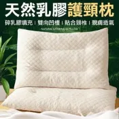 滿300出貨【哆啦A夢的百寶屋】碎乳膠透氣枕頭 枕頭 乳膠枕 碎乳膠枕 頸枕 午睡枕 側睡枕  露天市集  全臺最大的網