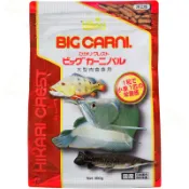 蛋叔叔-免運費 Hikari 高夠力 大型肉食性魚飼料 500g 粗條狀 龍魚 紅龍 金龍 銀帶 紅尾金 羅漢 慈鯛 龜