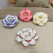 全球選品1館 生活百貨 ins韓系清新蓮花荷花抱枕毛絨玩具居家靠墊植物多肉好運玩偶坐墊
