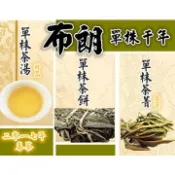 普旺古樹普洱茶 布朗單株2017年千年茶王樹，普洱古樹茶，口感甘甜