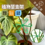植物莖支架 植物支撐架 植物固定架 龜背竹固定器 固定架 觀葉植物 園藝工具 莖葉支撐 防倒塌 枝幹收攏架 眾泰百貨