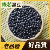 24H出貨🍒黑豆 綠芯黑豆 大黑豆 東北無硫黑豆綠芯乾貨 養生食材