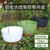 🔥臺灣出貨 樹脂自吸水吊掛花盆 壁掛式吊籃盆 常春藤綠蘿吊蘭垂吊植栽盆 懶人自動吸水盆 居家陽臺牆麵種花盆 口徑21 2