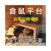 (店+)倉鼠平台 蘆丁雞喂食平台配件 裝飾 倉鼠用品 全套 二層平台架子  別墅造景 寵物箱