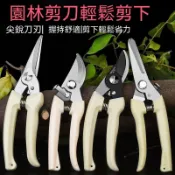 園藝剪刀 剪刀 高枝剪 樹枝剪 修枝剪 花枝剪刀 粗枝剪刀 剪定鋏 花剪 檳榔剪刀 採果剪刀 農用剪刀 摘果剪 果樹剪