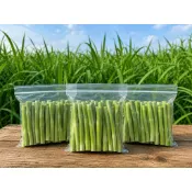 天然甜牧草莖🌱 自家無毒無農藥栽種 20$/支 約15cm 寵物零食 兔子 天竺鼠 陸龜 羊 磨牙草 小動物零食