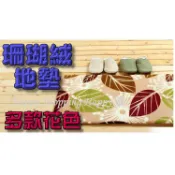 🚚🇹🇼現貨🚚珊瑚絨地墊 可水洗防滑 記憶地墊 衛浴踏墊 防滑地墊 超柔軟 室內地毯 吸水地墊 踏墊 地毯 廁所地毯