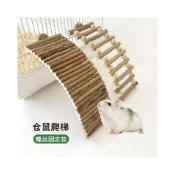 (店+)木質倉鼠玩具 金絲熊蜜袋鼯灌木樹枝爬梯 寵物啃咬磨牙倉鼠造景用品 天然實木 安全無毒 磨牙健齒 鍛鍊攀爬