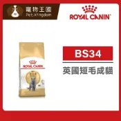 (店+)【ROYAL 法國皇家】BS34 英國短毛成貓專用飼料2kg / 4kg / 10kg｜貓乾糧 貓飼料 品種貓 皇家貓飼料