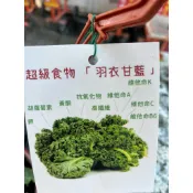 超級食物 羽衣甘藍｜3.5吋盆～食用料理植物⋯