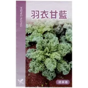 (店+)【天橙種子】羽衣甘藍種子 無頭甘藍  約300粒  春秋播種 葉菜類  興農種苗 彩色原包裝