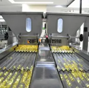 金牌五金工具 顆粒膠囊數粒機 藥片數粒機 魚肝油數粒設備【可定製 五金】