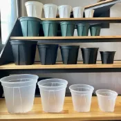 (店+)《斑啾植選》青山盆｜4吋盆二入(觀葉植物專用盆｜斑葉｜合果芋｜龜背芋｜觀音蓮｜室內植物｜盆栽)
