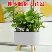【珍愛頌】N131 可視水位 櫸木腳 懶人花盆 附水位計 多肉花盆 種菜盆 草莓 蘭花 自動吸水 自動澆水 自動灌溉花盆