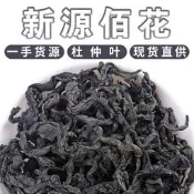 【現貨 可開發票】批發湖南張家界杜仲茶葉散裝新貨杜仲葉中藥材500g無硫大葉杜仲茶女性養生茶 補血調經茶 氣血調理茶
