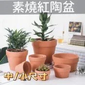 《台灣現貨》素燒紅陶盆（中、小尺寸）國際盆 尺寸齊全 標準盆 矮盆紅陶盆 陶皿 紅陶花盆 陶土盆 紅瓦盆 素陶盆