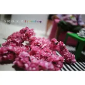 ５號雜貨屋＊(現貨 16~深粉)迷你玫瑰花 紙花 1束12朵20元 娃娃配件 DIY娃屋 芭比迪士尼兵人各類娃皆可使用