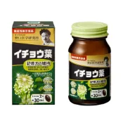 (店+)NOGUCHI野口醫學研究所 高分散銀杏葉精華膠囊