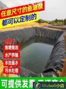 公司貨魚塘防滲膜 魚池防水布 土工膜 養殖地膜定制魚塘防滲膜加厚魚池護坡防水布土工膜復合黑色塑料布加厚防滲